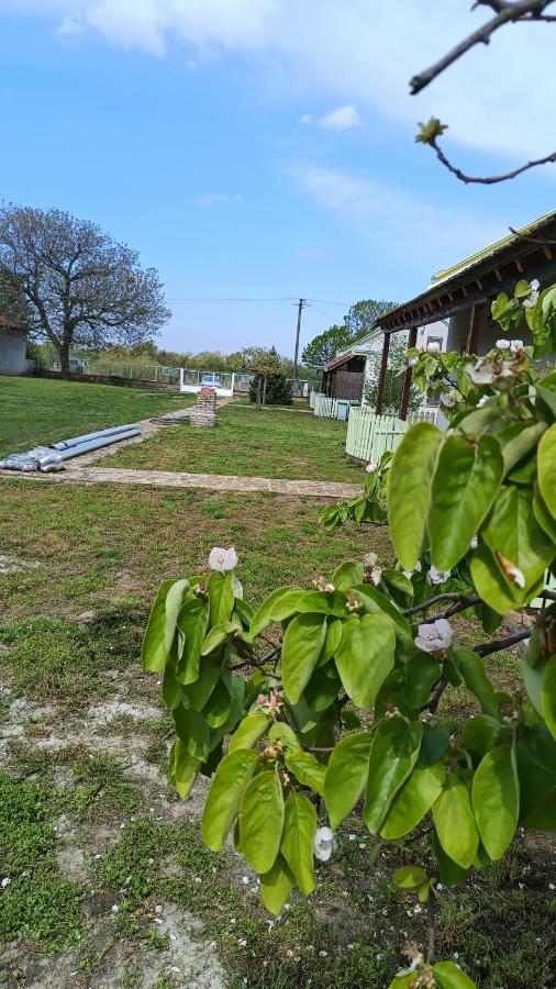 Villa Diiva Curug Extérieur photo
